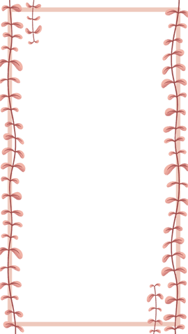 pink vine rectangular frame on transparent background - Download Free Stock Videos Pikwizard.com