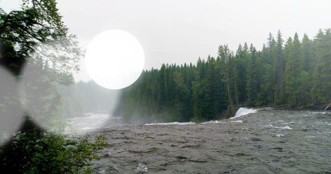 Majestic waterfall river rapids with evergreen forest