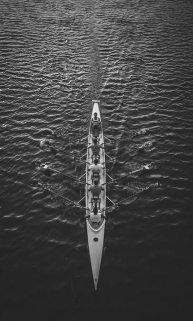 Rowing team training on calm water seen from above in black and white. Suitable for themes involving teamwork, sports, fitness, rowing competitions, and outdoor activities. Ideal for use in sports magazines, fitness blogs, teamwork-related articles, and advertisements focusing on discipline and synchrony.