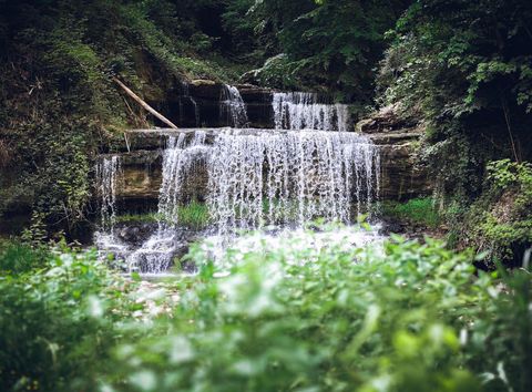 Serene tiered waterfall flowing in lush green forest landscape