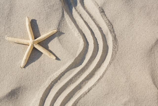 Starfish and zen pattern on sand at beach