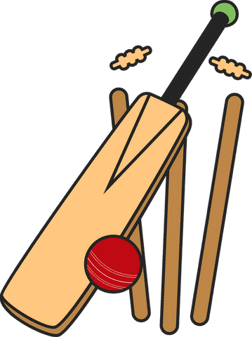 stylized cricket equipment scene on transparent background - Download Free Stock Videos Pikwizard.com