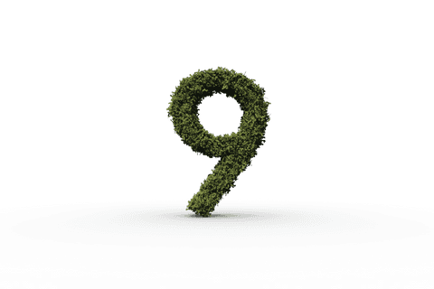 leafy number 9 on transparent background for nature designs - Download Free Stock Videos Pikwizard.com