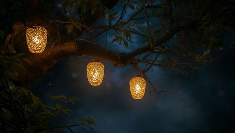 Woven Lanterns Glowing on Tree Branch at Night Casting Warm Amber Light and Soft Bokeh