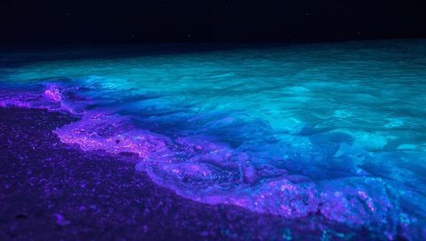 Bioluminescent Waves Glowing Turquoise and Purple Nighttime Shoreline Glittering Foam