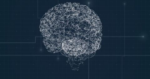 Digital Visualization of Brain Network with Grid Connections - Download Free Stock Images Pikwizard.com