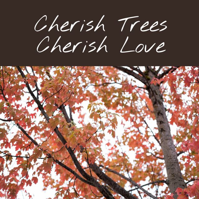 Composition of cherish trees cherish love text over autumn tree on ...