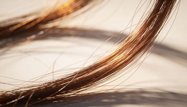 Curving sunlit light brown hair strand showing smooth texture and golden highlights