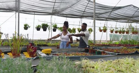 Coworkers Nurturing Plants in Eco-Friendly Greenhouse