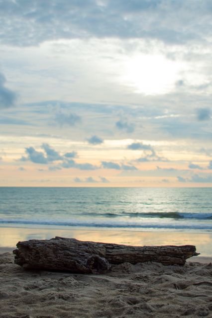 Beach phangnga thai timber - Download Free Stock Photos Pikwizard.com