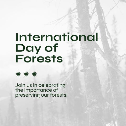 celebrating international day of forests on foggy landscape - Download Free Stock Templates Pikwizard.com
