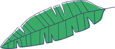 Transparent Tropical Green Leaf with Cut Edges on Transparent Background - Download Free Stock Videos Pikwizard.com