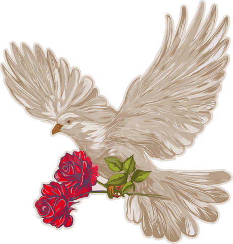 Stylized dove carrying red roses with transparent background design