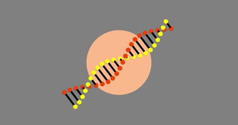 DNA Strand Illustration on Gray Background - Download Free Stock Images Pikwizard.com