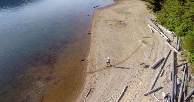 Person Walking Dog on Remote Sandy Beach - Download Free Stock Images Pikwizard.com