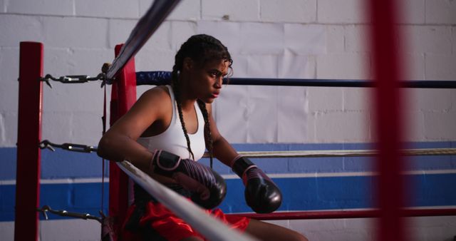 Tired biracial female boxer with braids recovering sitting in corner of boxing ring, copy space. Boxing match, endurance, boxing, sport, strength and competition, unaltered.