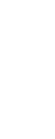 Transparent Silhouette of Excited Sportswoman Raising Arms
