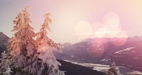 Winter Wonderland with Snow-Covered Trees and Mountain View - Download Free Stock Images Pikwizard.com