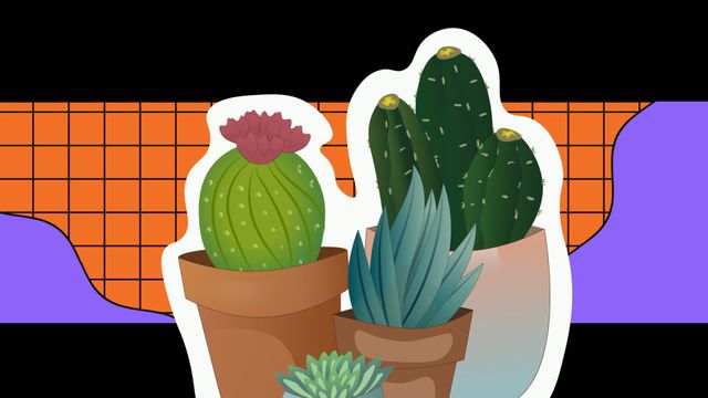 Animated video of cactus icons with various geometric shapes on a black background. Ideal for use in modern design projects, educational materials, or digital posters. The combination of animated elements and bold colors creates a vibrant template suited for social media graphics, presentations, and websites focused on design and creativity.