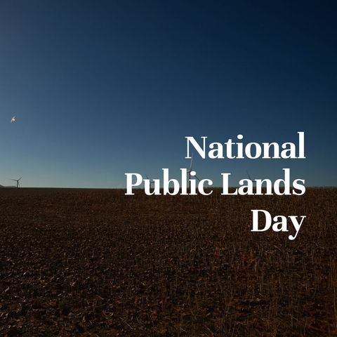 National Public Lands Day Celebration Landscape at Night - Download Free Stock Templates Pikwizard.com