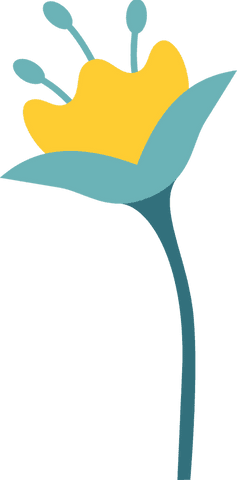 stylized yellow flower on transparent background - Download Free Stock Videos Pikwizard.com
