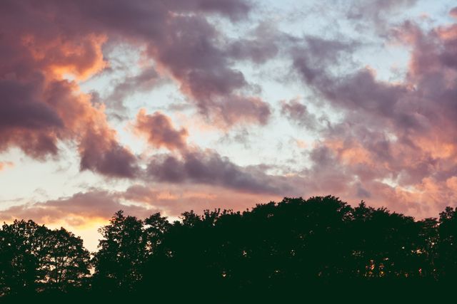 Dramatic Sunset Sky with Dark Forest Silhouette and Vibrant Clouds - Download Free Stock Photos Pikwizard.com