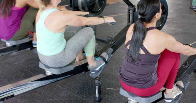 Group of women working out on rowing machines in a gym, showcasing strength and teamwork. Ideal for promoting fitness centers, exercise routines, and healthy living campaigns.