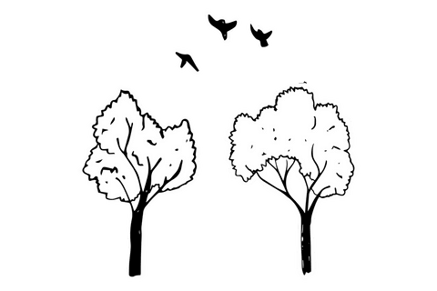 digital trees and birds illustration on transparent background - Download Free Stock Videos Pikwizard.com