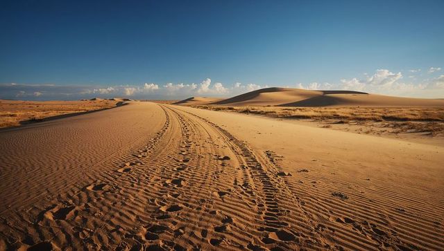 Golden-hour desert track winding through rippled sand dunes under wide blue sky