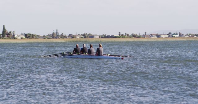 People Rowing in Calm Water on Sunny Day - Download Free Stock Images Pikwizard.com