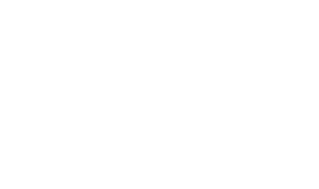 Transparent Shadow Silhouette of Male Fencers on Transparent Background Isolated - Download Free Stock Videos Pikwizard.com