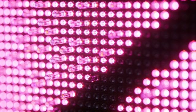 Magenta led matrix closeup showing glowing round emitters and clear lenses neon stage