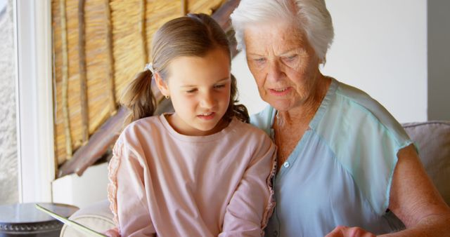Front view of Caucasian Grandmother and granddaughter looking at photo album - Download Free Stock Photos Pikwizard.com