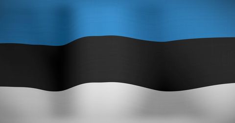 Estonia national flag waving in the wind