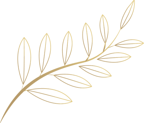 Golden laurel branch with elaborate leaf outline on transparent background