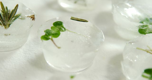 Ice cubes infused with small green leaves and herbs are displayed on a white surface, with copy space. These creatively crafted ice cubes suggest a touch of elegance and attention to detail in culinary presentation or beverage service.