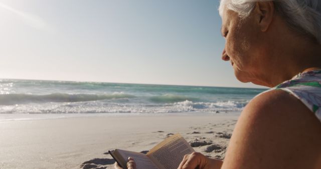 Senior Woman Reading Book on Sunny Beach - Download Free Stock Images Pikwizard.com