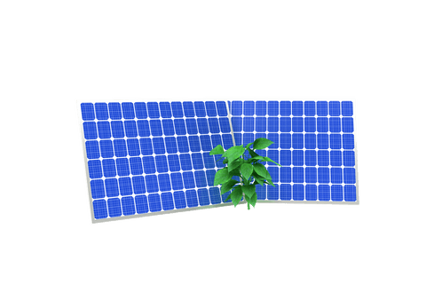 transparent solar panels with green plant on white background - Download Free Stock Videos Pikwizard.com