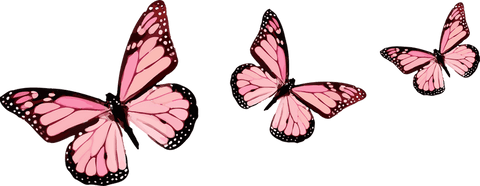 Pink butterflies floating with grace on transparent background illustration