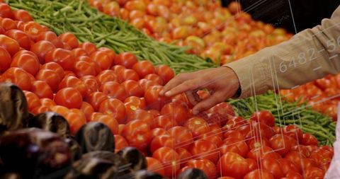Hand selecting fresh tomatoes in vibrant produce market