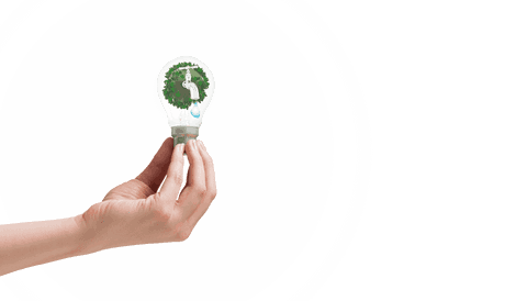 hand holding eco-friendly lightbulb with green earth on transparent background - Download Free Stock Videos Pikwizard.com