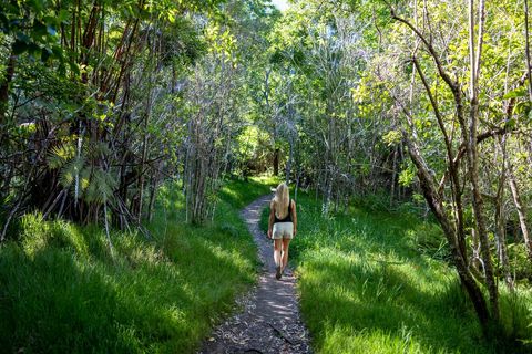 Woman Hiking on Forest Trail Surrounded by Lush Greenery