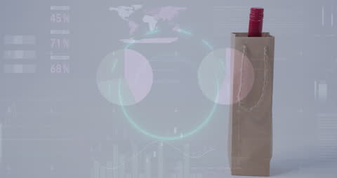 Wine Bottle in Bag with Global Finance and Technology Animation