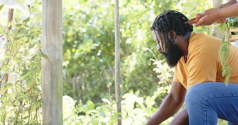 African man crouching in sunlit backyard garden while child offering fresh herbs and greens