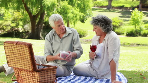 Senior Couple Enjoying Picnic in Park with Strawberries