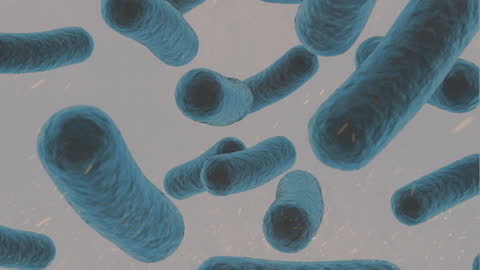 3D Animation of Bacteria Cells Floating Background