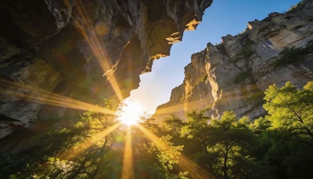 Sunburst through narrow canyon with backlit trees and dramatic rockfaces at sunrise