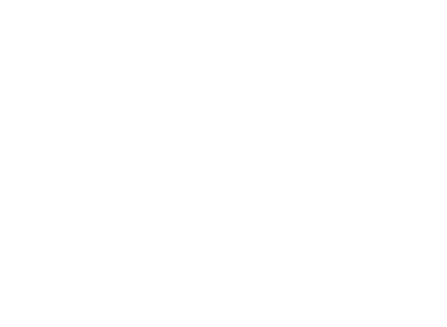 Woman Holding Umbrella Silhouette Vector on Transparent Background - Download Free Stock Videos Pikwizard.com