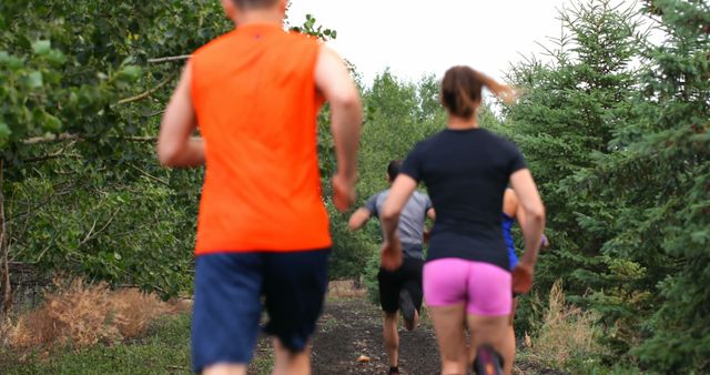 Group of Runners Jogging through Forest Path in Activewear - Download Free Stock Images Pikwizard.com