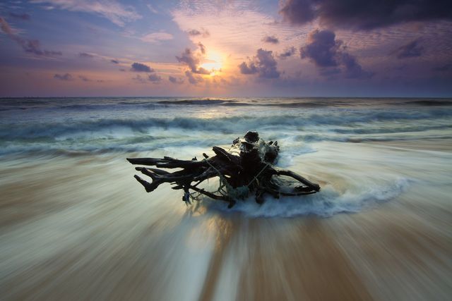 Sunset Over Ocean Waves and Driftwood at Tranquil Beach - Download Free Stock Photos Pikwizard.com